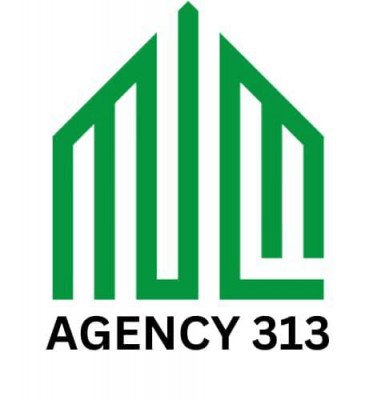Agency 313