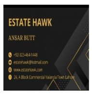 Ansar Butt