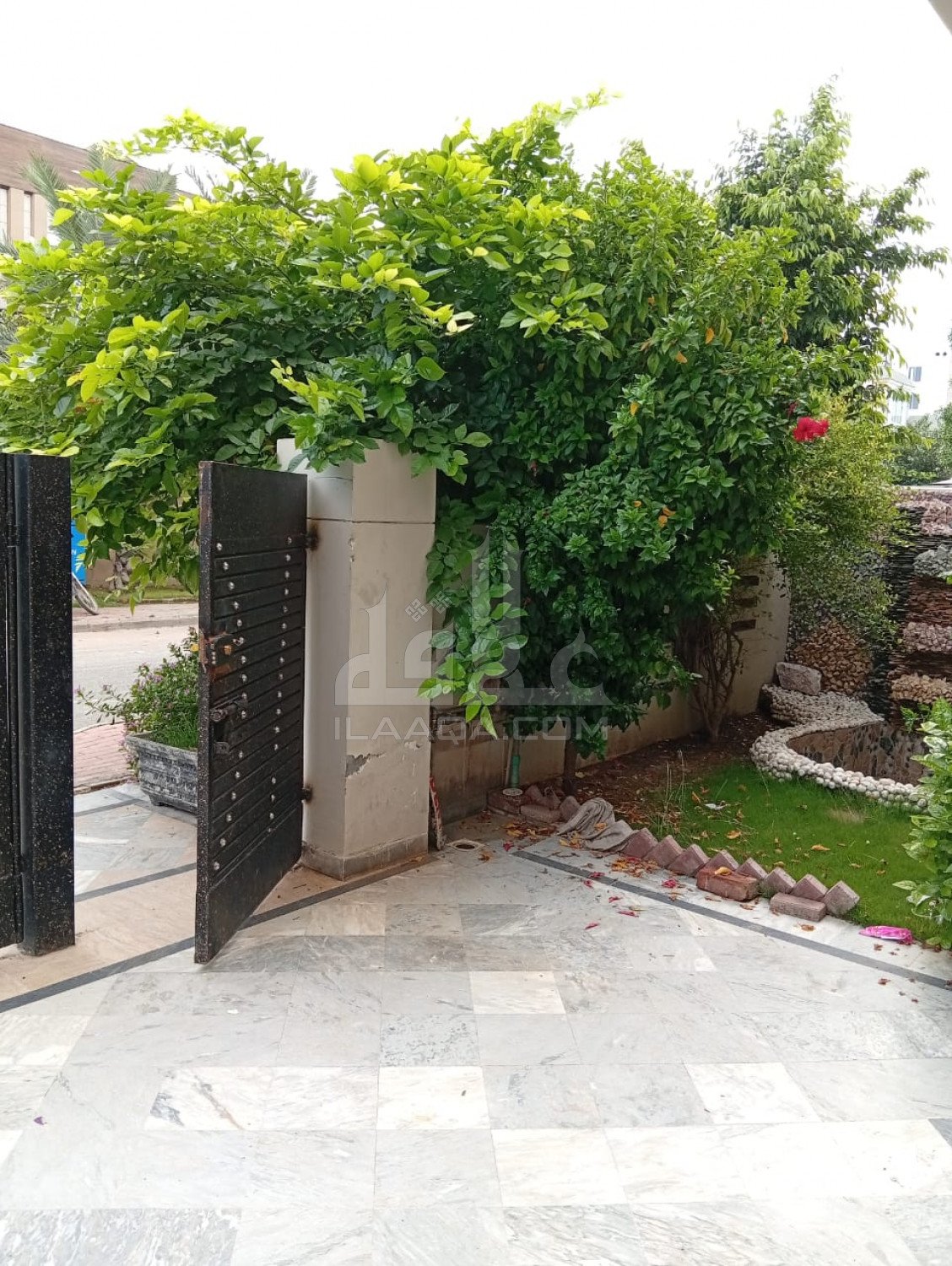 10 Marla House for rent in Phase 1 - Central District, Bahria Orchard, Lahore - (ID-16264)