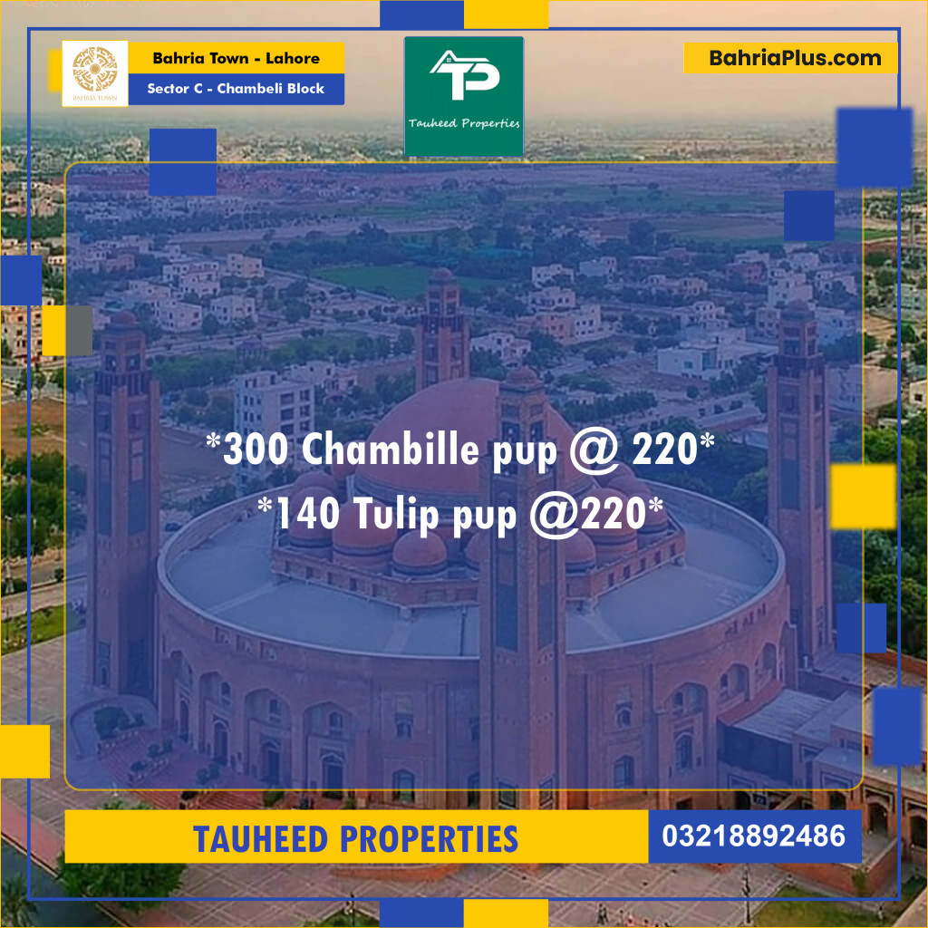 10 Marla Residential Plot for Sale in Sector C - Chambeli Block -  Bahria Town, Lahore - (BP-233021)