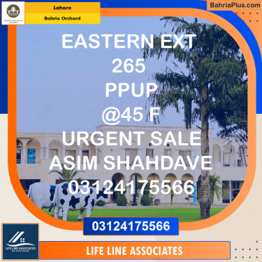 Residential Plot for Sale in Bahria Orchard, Lahore - (BP-124987)