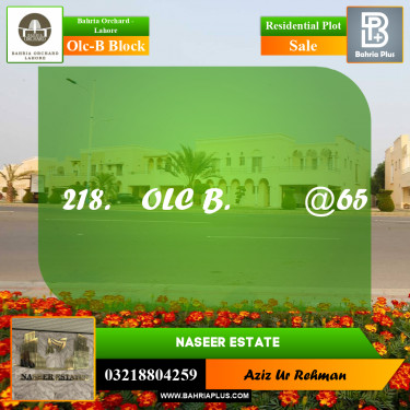 Residential Plot for Sale in OLC-B Block -  Bahria Orchard, Lahore - (BP-168076)