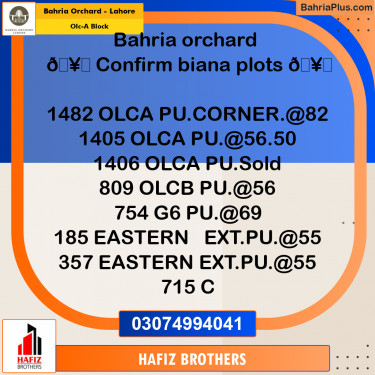 Residential Plot for Sale in OLC-A Block -  Bahria Orchard, Lahore - (BP-169461)