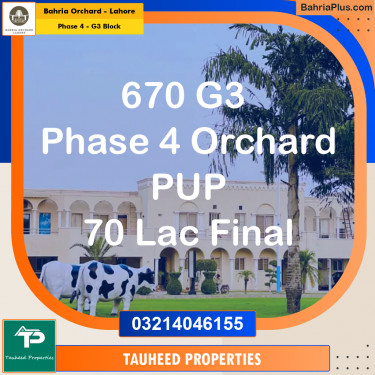 Residential Plot for Sale in Phase 4 - G3 Block -  Bahria Orchard, Lahore - (BP-174877)