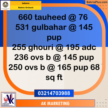 Residential Plot for Sale in Bahria Orchard, Lahore - (BP-214402)
