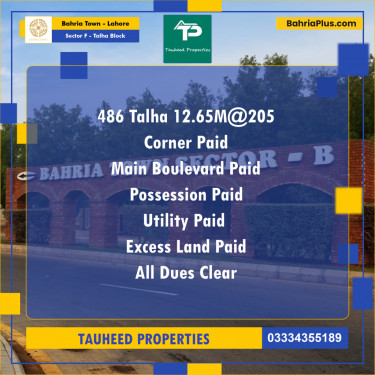 12.65 Marla Residential Plot for Sale in Sector F - Talha Block -  Bahria Town, Lahore - (BP-242423)