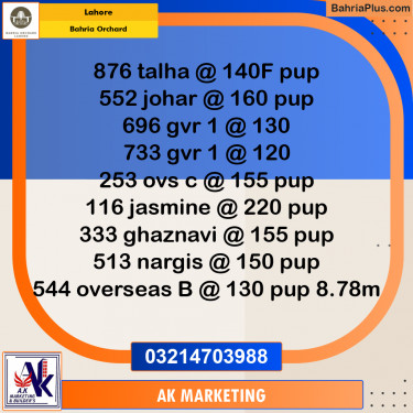 Residential Plot for Sale in Bahria Orchard, Lahore - (BP-252763)