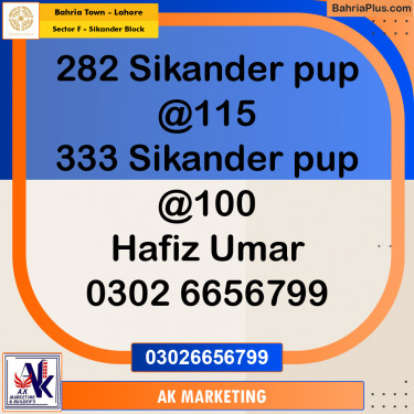 10 Marla Residential Plot for Sale in Sector F - Sikander Block -  Bahria Town, Lahore - (BP-258734)