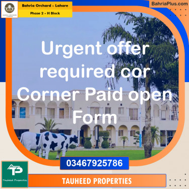 8 Marla Residential Plot for Sale in Phase 2 - H Block -  Bahria Orchard, Lahore - (BP-267126)