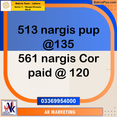 10 Marla Residential Plot for Sale in Sector C - Nargis/Hussain Block -  Bahria Town, Lahore - (BP-273288)