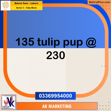 10 Marla Residential Plot for Sale in Sector C - Tulip Block -  Bahria Town, Lahore - (BP-276466)