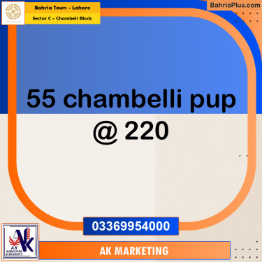 10 Marla Residential Plot for Sale in Sector C - Chambeli Block -  Bahria Town, Lahore - (BP-279694)