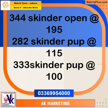 1 Marla Residential Plot for Sale in Sector F - Sikander Block -  Bahria Town, Lahore - (BP-288152)