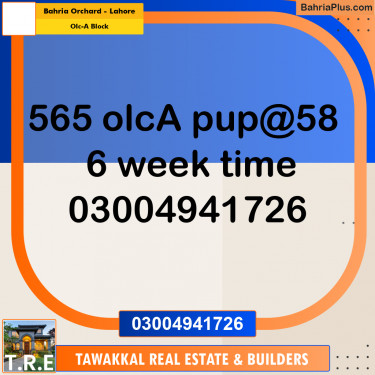 5 Marla Residential Plot for Sale in OLC-A Block -  Bahria Orchard, Lahore - (BP-289969)