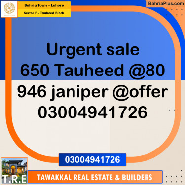 10 Marla Residential Plot for Sale in Sector F - Tauheed Block -  Bahria Town, Lahore - (BP-290337)