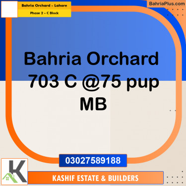 80 Marla Residential Plot for Sale in Phase 2 - C Block -  Bahria Orchard, Lahore - (BP-294514)