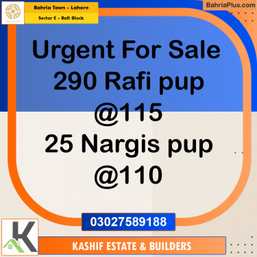 5 Marla Residential Plot for Sale in Sector E - Rafi Block -  Bahria Town, Lahore - (BP-299016)
