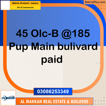 4 Marla Commercial Plot for Sale in OLC B Commercial -  Bahria Orchard, Lahore - (BP-307166)