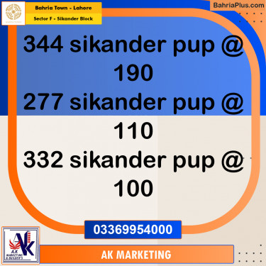 1 Kanal Residential Plot for Sale in Sector F - Sikander Block -  Bahria Town, Lahore - (BP-307480)