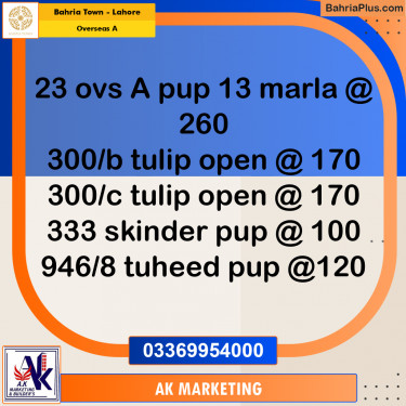 13 Marla Residential Plot for Sale in Overseas A -  Bahria Town, Lahore - (BP-354002)