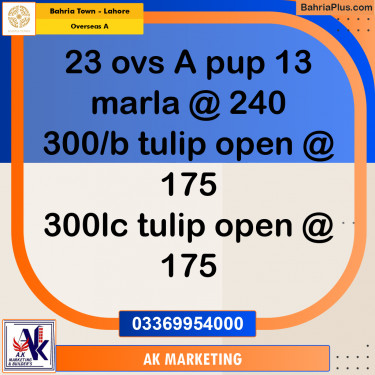 13 Marla Residential Plot for Sale in Overseas A -  Bahria Town, Lahore - (BP-355675)